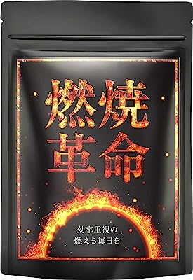 燃焼革命 カプサイシン ブラックジンジャー L-カルニチン 厳選11種 30日分(国内生産)