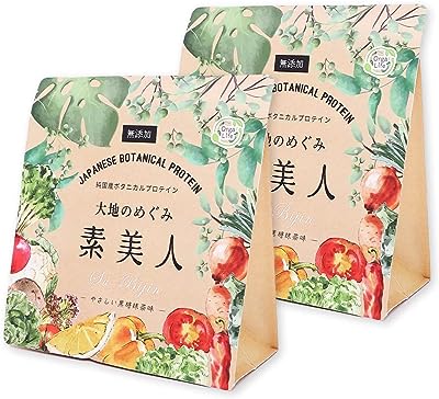 オーガライフ 純国産 完全食 ソイプロテイン 大地のめぐみ素美人 91種国産野菜配合 女性 無添加 500g