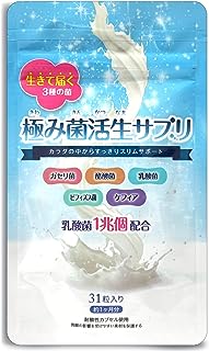 【公式】極み菌活生サプリ 乳酸菌 ビフィズス菌 酪酸菌 「31粒/1袋/1ヶ月分」生きた乳酸菌1兆個配合サプリ (1)