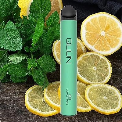 持ち運び ポケット シーシャ 電子タバコ 500回 QUUN 禁煙グッズ 使い捨て ベイプ Vape (LEMONMINT（レモンミント）)